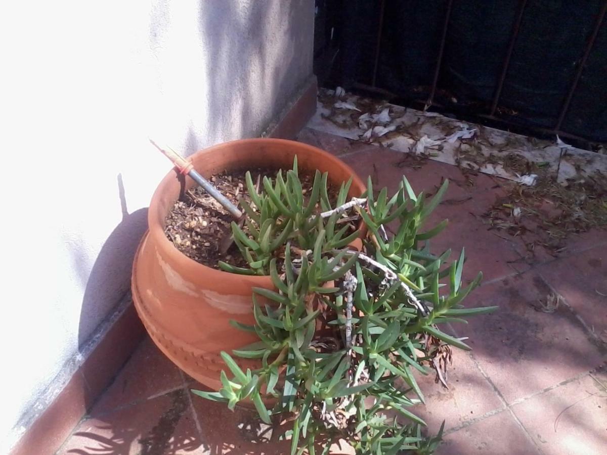 Sperone Mandra Capreria Exterior photo
