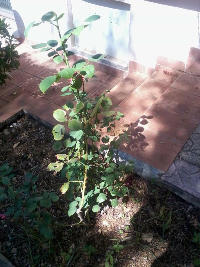 Sperone Mandra Capreria Exterior photo